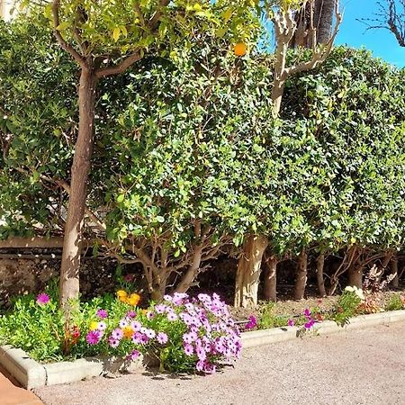 Rez-De-Chaussee Privatif Spacieux 3* D'Une Villa Centre Ville Hyeres Luaran gambar